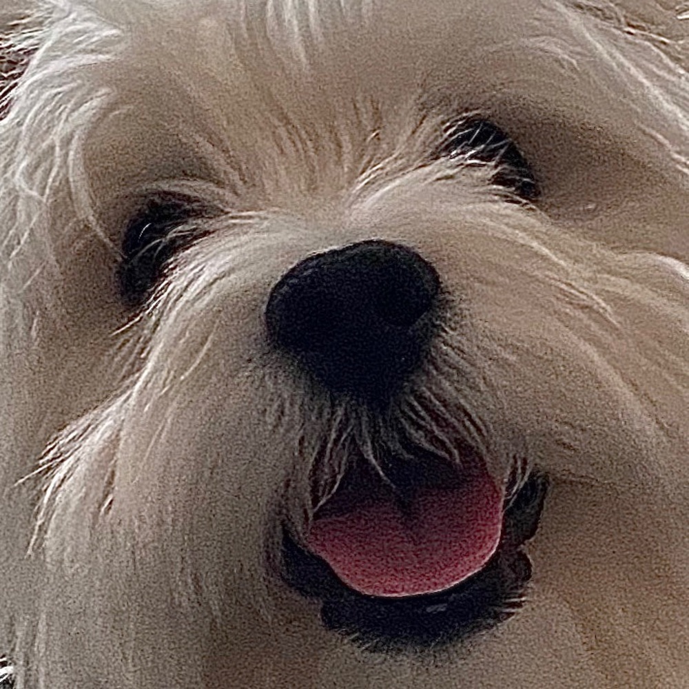 Meet your Posher, Debra